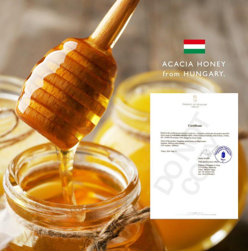 【MY HONEY】アカシアハニー チューブボトル300g